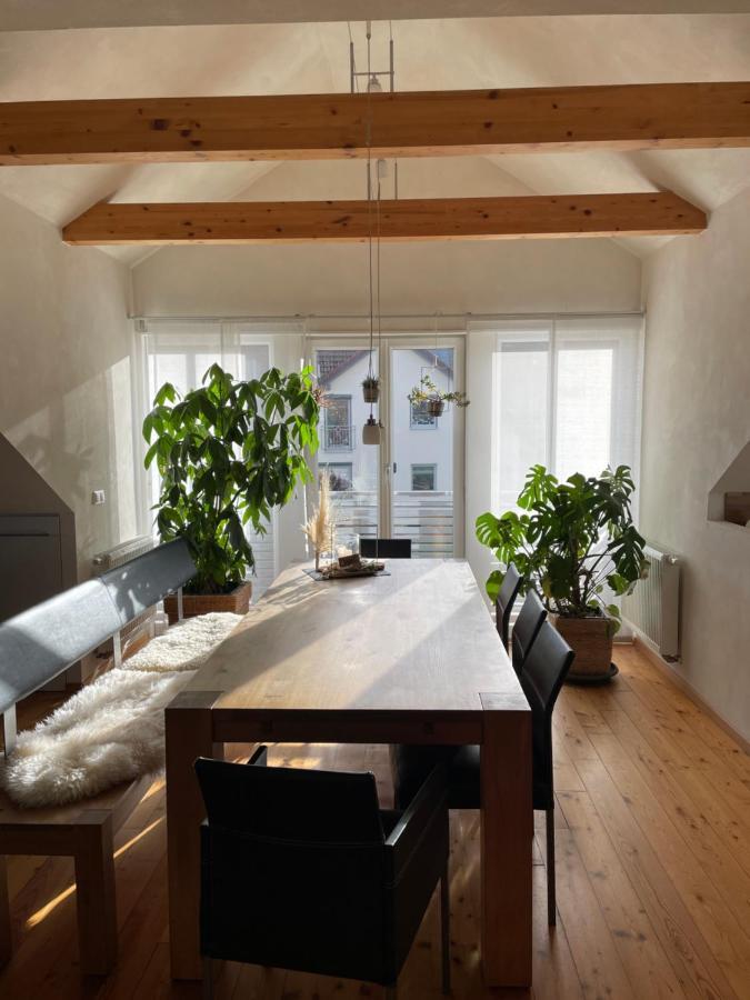 Ferienwohnung Nussbaum-Nest Хаузен Екстериор снимка